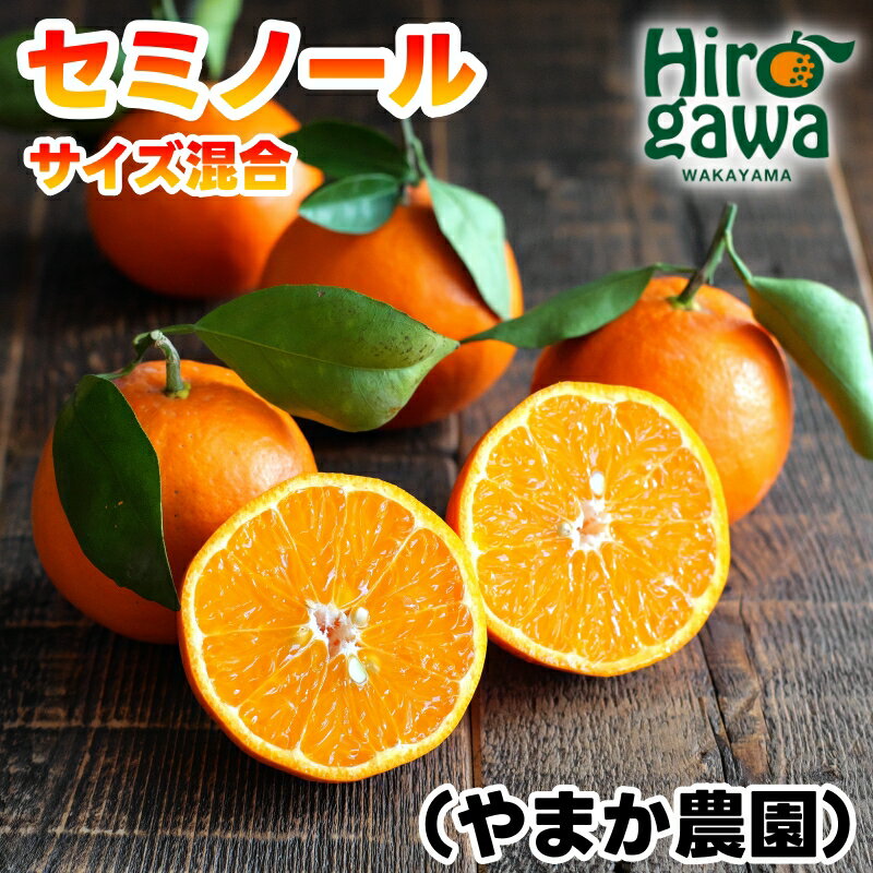 【ふるさと納税】 セミノール 3kg 5kg サイズ混合 M～2L / 秀品 優品 甘い 和歌山 有田 柑橘 ※ 4月下旬〜5月上旬に順次発送 //hassaku