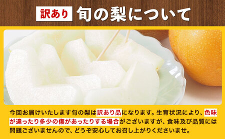 訳あり 岡山県産 旬の梨 約1.8kg 2～5玉前後 梨 訳あり 優品 新高 愛宕 王秋梨 鴨梨 スイーツ フルーツ デザート 旬 岡山県矢掛町《9月上旬-1月末頃に出荷予定》数量限定