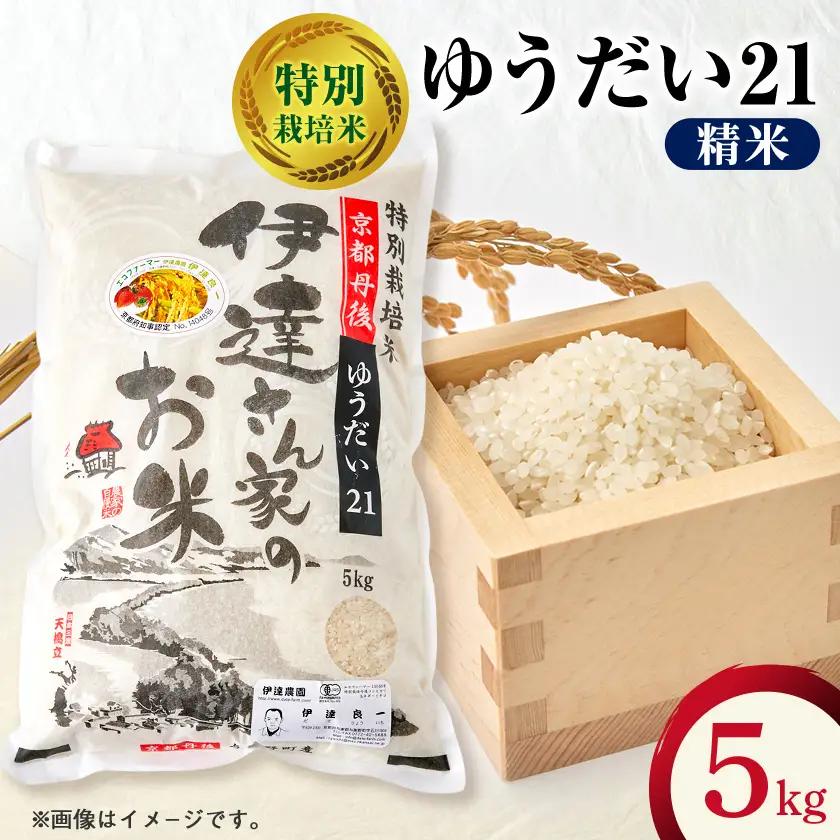 令和7年産米 特別栽培米「ゆうだい21」精米5kg　京都与謝野町　【伊達農園】　数量限定【1684239】