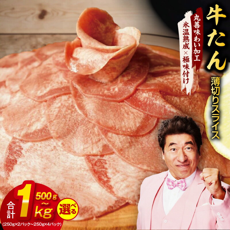 【ふるさと納税】牛たん スライス 500g（250g×2） / 750g （250g×3） / 1kg（250g×4） 【丸善味わい加工】 【氷温熟成×極味付け】 氷温熟成牛 牛肉 熟成肉 作り方 ふるさと納税オリジナル 限定 大阪府 泉佐野市 送料無料 肉の泉佐野