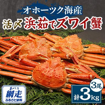 ふるさと納税 網走市 活〆浜茹でズワイ蟹 3尾(合計3kg)セット