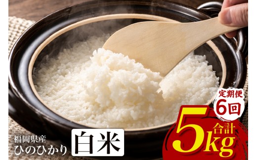 【6回定期便】ひのひかり 米 お米 白米  5kg 5キロ 福岡県産 うきは市 国産 精米 ご飯 ごはん おにぎり お弁当 人気 おすすめ 家庭用 送料無料 令和7年度産 ストック 厳選 農家直送 大容量【JA福岡くるめ にじの耳納の里】