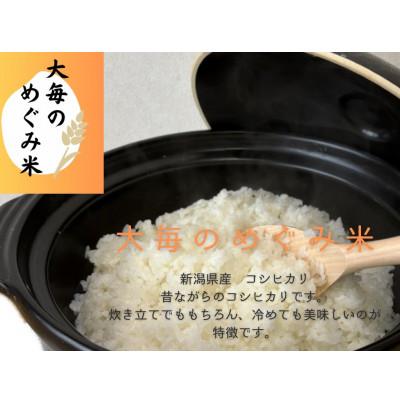 ふるさと納税 村上市 【令和6年産米】精米　新潟県村上市産　コシヒカリ「大毎のめぐみ米」5kg　1093003 |  | 01