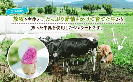 無地熨斗 北海道 まきばのジェラート とうもろこし 130ml×6個 ジェラート コーン とうきび ミルク スイーツ デザート 氷菓 保存料不使用 牧場 自家製 アイス お取り寄せ グルメ ギフト 熨