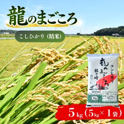 ふるさと納税 龍ケ崎市 【令和7年産】龍ケ崎のコシヒカリ 5kg(5kg×1袋)