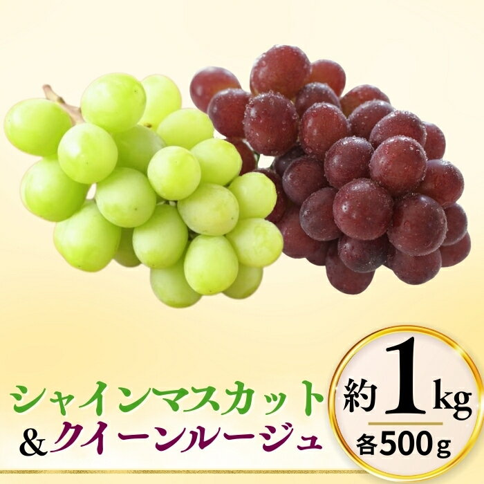 【ふるさと納税】シャインマスカット ＆ クイーンルージュ® 詰め合わせ セット 計約1kg（2~3房）※最低900g以上｜ 果物 フルーツ 白ぶどう 赤ぶどう 葡萄 ブドウ 種無し 種なし 皮ごと 千曲市 長野県 信州