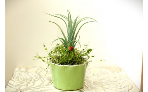 【空気をきれいにするアートフラワー】 観葉植物 小 インテリア アート 花 置物 小物 雑貨 プレゼント 岩手県 北上市 B0427 あとりえヒロ