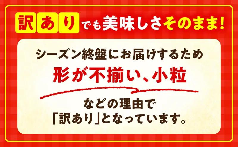 【先行予約】訳あり 苺音クラフト～加工用さぬきひめいちご約2kg | おすすめ 人気 果実 果肉 果物 フルーツ デザート 贈り物 苺 さぬきひめ 贈答 ご褒美 旬の果物 季節の果物 旬 季節 青果物