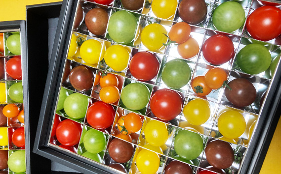 【先行予約】カラフルミニトマトの宝石箱　18粒【茨城県共通返礼品 つくばみらい市】