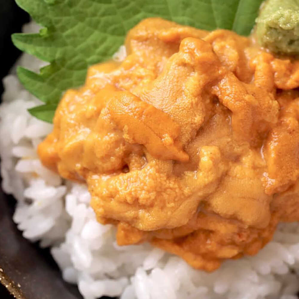 【ふるさと納税】【先行予約】生ウニ 60g 【2026年6月以降順次発送】《壱岐市》【丸昇水産】 うに 雲丹 ウニ 希少 産地直送 ミョウバン不使用 無添加[JFZ005]