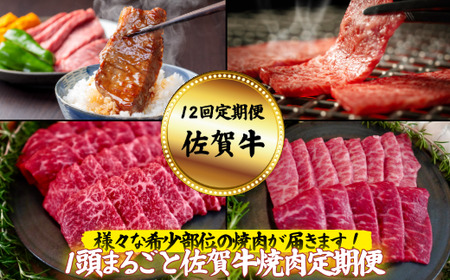 【定期便12回】【牧場直送】1頭まるごと佐賀牛焼肉定期便：C195-005