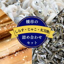 【ふるさと納税】 橋市の詰め合わせセット【選べる内容量】（しらすの釜揚げ・じゃこの佃煮・太刀魚のみりん干し）※北海道・沖縄・離島配送不可 / 干物 味醂干し おつまみ ご飯のお供 シラス 冷蔵 お取り寄せ 和歌山県 田辺市