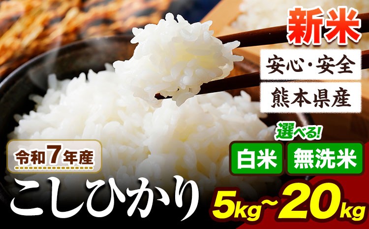 
            令和7年産 新米 無洗米 も選べる こしひかり 5kg 10kg 15kg 20kg 定期便 も選べる《10月中旬-12月末頃出荷》令和7年産 熊本県産 ふるさと納税 無洗米 新米 白米 精米 ひの 米 こめ ふるさとのうぜい コシヒカリ コメ お米 おこめ
          
