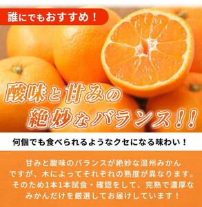 【ご家庭用訳アリ】紀州有田産温州みかん7.5kg【先行予約】【UT10w】