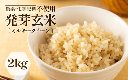 【令和7年産】発芽玄米 ミルキークイーン 2kg 無洗米 米 玄米 [A-29105]