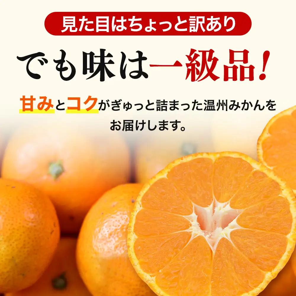  【先行予約】訳あり品 温州みかん 「おてんば娘」5kg(早生・中生・晩稲)【S～2Lサイズおまかせ】【2026年10月中旬～2027年2月下旬頃までに順次発送】＜味好農園＞/みかん 蜜柑 柑橘 温州