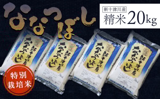 先行受付 令和7年 ななつぼし 特別栽培米 20kg ｜ オンライン 申請 ふるさと納税 北海道 新十津川 北海道産 米 ブランド ブランド米 お米 北海道米 道産米 道産 ご飯 美味しい 大容量 ギフト  贈り物 お取り寄せ 新十津川町【1100604】
