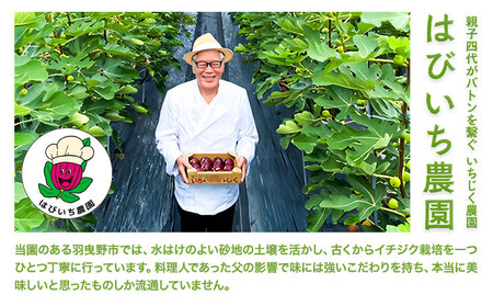 完熟いちじく約1kg 