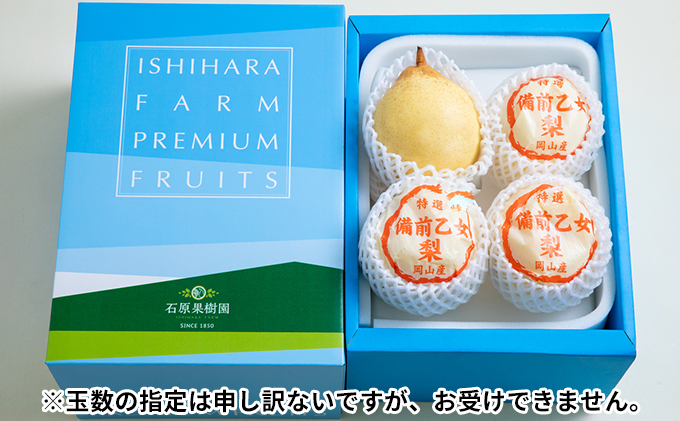 梨 2024年 先行予約 備前乙女梨（鴨梨） 3～4玉入り（2kg以上）贈答箱  ナシ なし 岡山県産 国産 フルーツ 果物 ギフト 石原果樹園