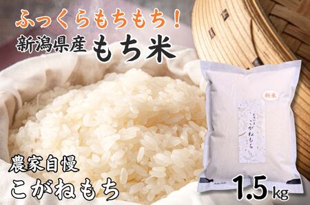 もち米『こがねもち』 1.5kg  (約1升) 新潟県産 【令和6年産】つやつやモチモチ もち米ならではの芳醇な香り 百姓や伝六 1等米【もち米 餅 赤飯 おこわ ふるさと納税 米 ブランド米 黄金餅 2024 年内配送 もち米】