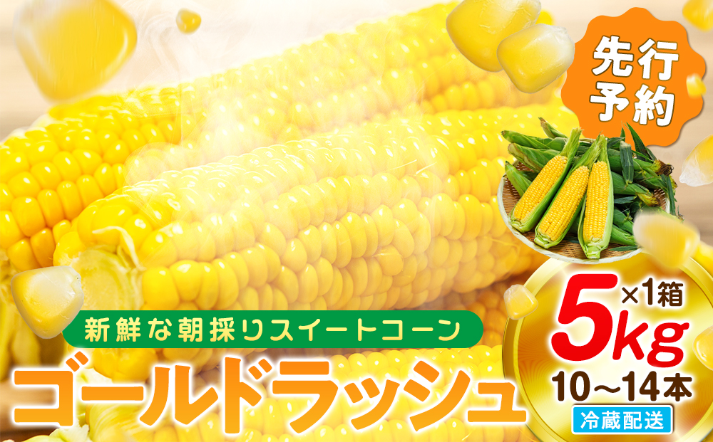 【2027年先行予約 6月下旬から出荷】 スイートコーン 約5kg 10～14本 冷蔵 国産 とうもろこし 先行予約 数量限定 コーン 野菜 新鮮 焼き 蒸し 産地 直送 甘い 甘口 子ども 子供 小分け 種子 肥料 さわやか すっきり 糖度 黄色 人気 おすすめ 愛知県 南知多町