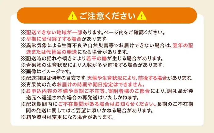 紅まどんな 1箱 5-6個入 フルーツ 果物 みかん BJBI003
