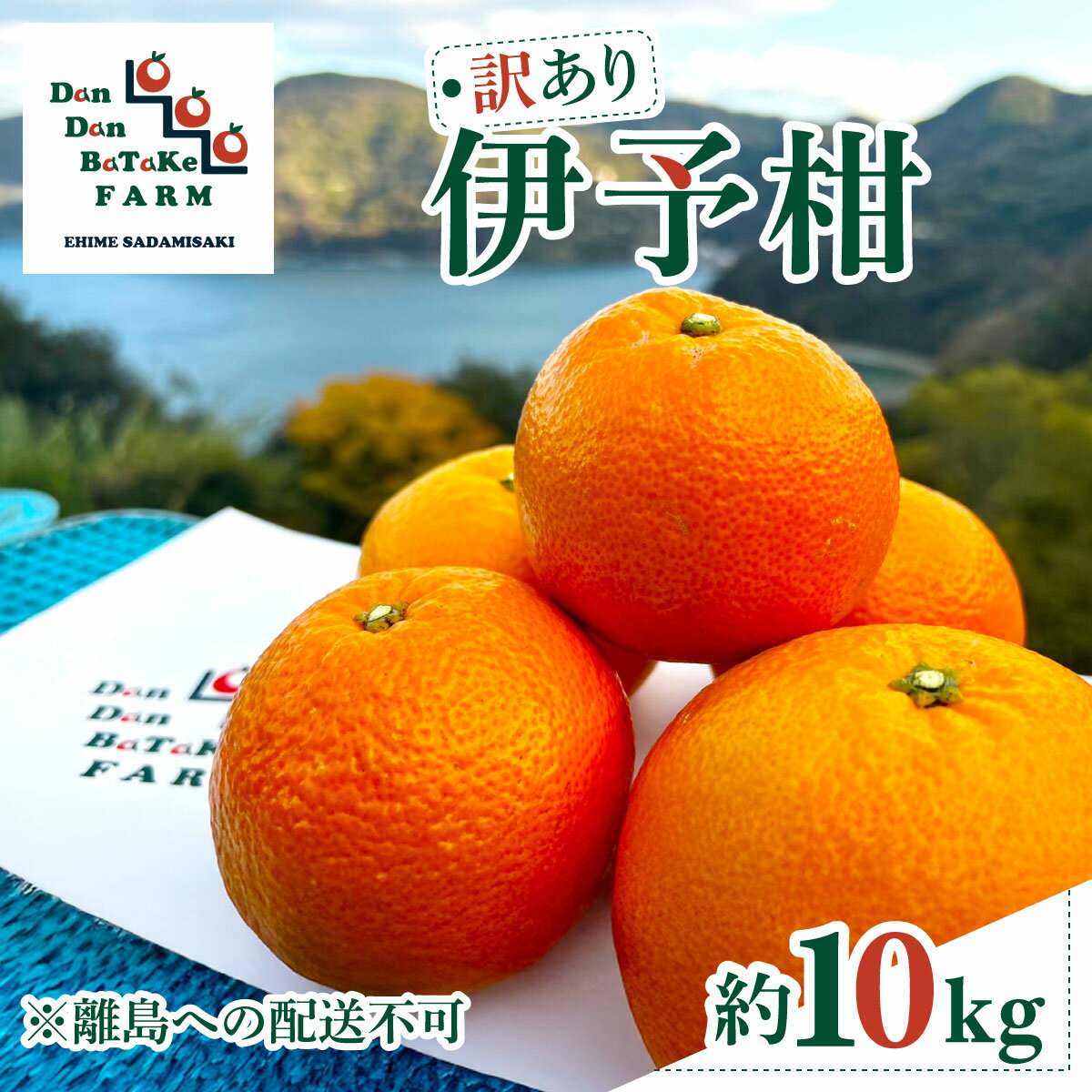 【ふるさと納税】【先行予約】【訳あり】伊予柑 約10kg ※離島への配送不可　※2026年1月中旬から順次発送予定【ふるさと納税 人気 おすすめ ランキング みかん ミカン フルーツ 伊予柑 果物 オレンジ 農家直送 産地直送 愛媛県産 家庭用 愛媛県 伊方町 送料無料】IKTAU002