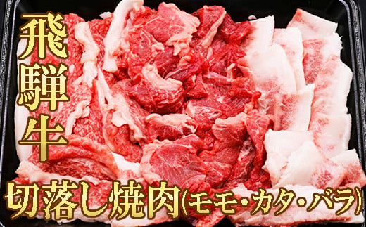 
【飛騨牛】赤身・霜降りMIX 切落し焼肉(モモ・カタ・バラ)500g
