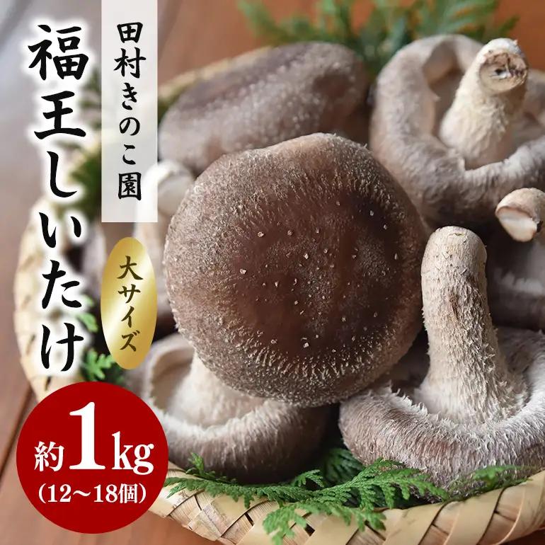 【先行販売/2026年10月末以降発送】福王しいたけ 大サイズ 約1kg IA-003