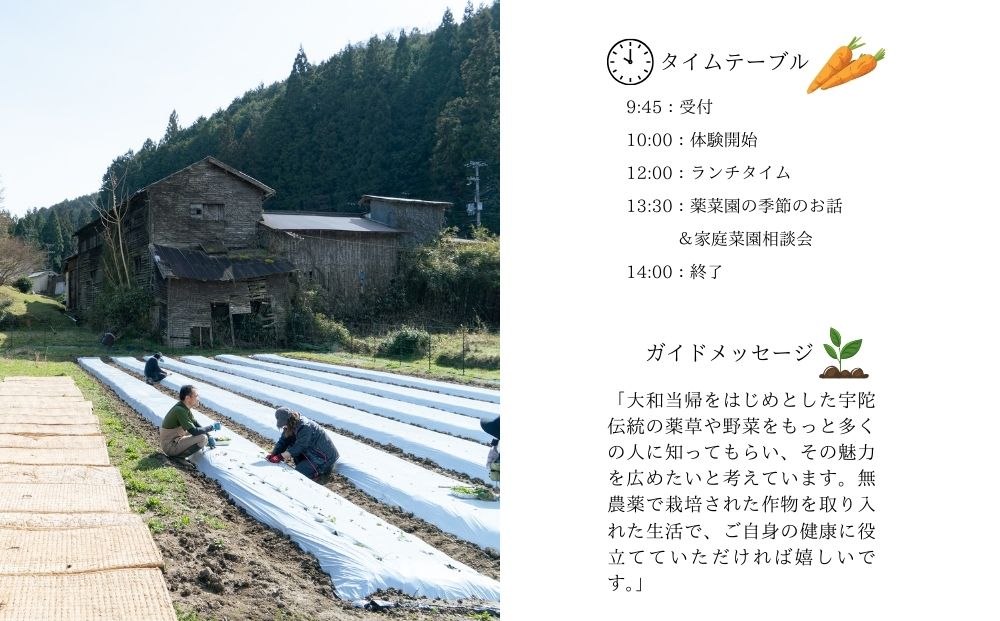 『旬刻旬菜』参加チケット（ペアチケット）家庭菜園のお悩みをプロ農家に相談できるランチ付き農業体験 ／ なつかしいみらいサービス 送料無料 チケット 無農薬栽培 農業体験 家庭菜園  ふるさと納税 奈良