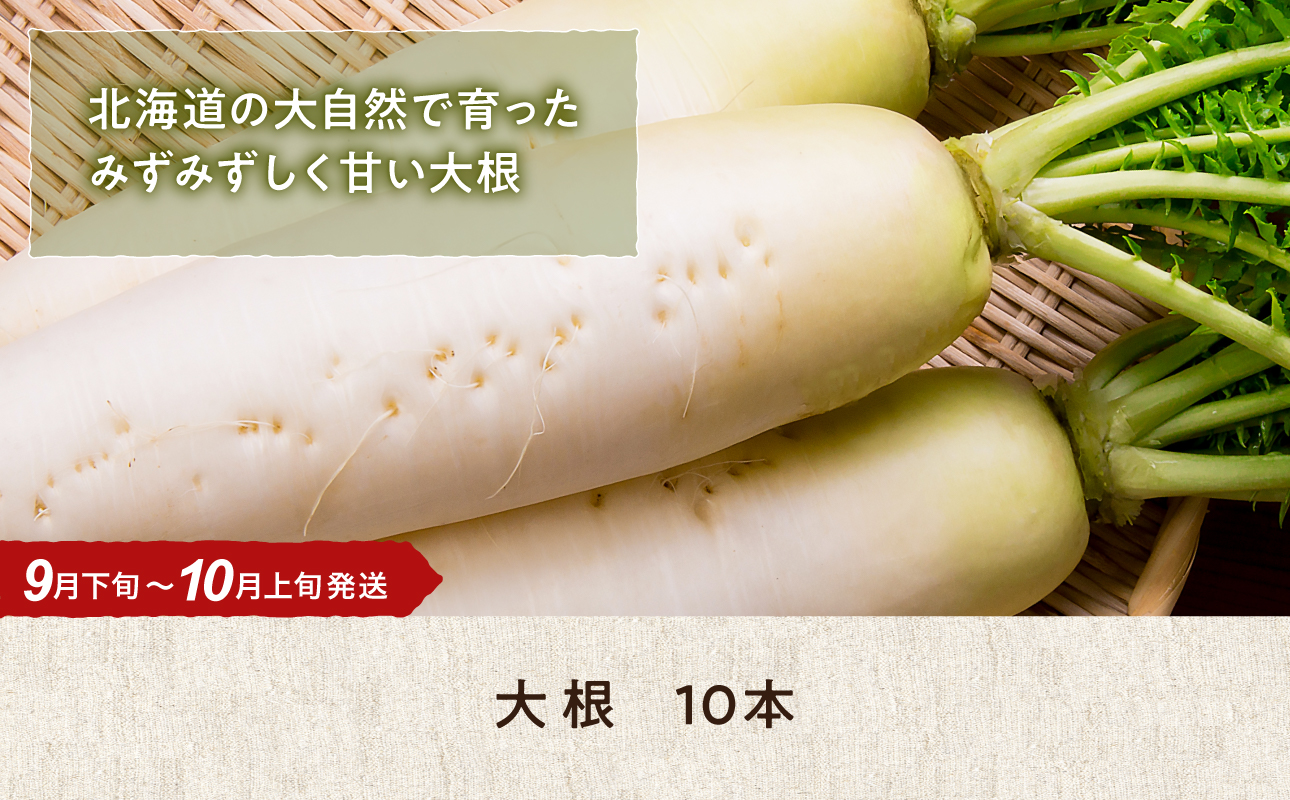 【9月下旬〜10月上旬発送】旬の採れたて野菜「だいこん」
