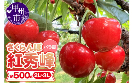 大粒さくらんぼ童夢の「紅秀峰」バラ詰め（約500g 2L～3L）【2024年発送】（DOM）C-141