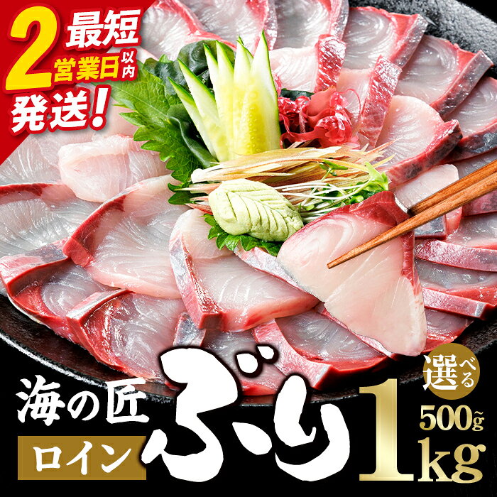【ふるさと納税】＼2営業日以内発送／海の匠 ブリ 刺身 冷蔵 スキンレスロイン 皮引き済み (500g・1kg) 内容量が選べる ぶり 鰤 ぶりしゃぶ しゃぶしゃぶ 海鮮 海鮮丼 国産 養殖ブリ ぶり丼 【JP002・JP003】【三共物商】