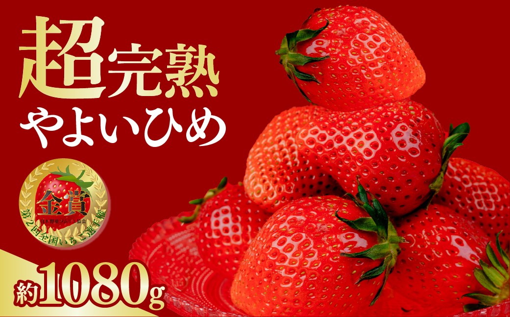 
                  いちご やよいひめ  約270g × 4パック 合計 約1080g レギュラーサイズ 厳選&完熟&朝摘み 【選べる発送月】 | いちご イチゴ 苺 やよいひめ 第2回 いちご 選手権金賞 ブランド いちご ストロベリー 甘い いちご あまい 完熟 果物 フルーツ くだもの 旬 産地直送  鈴木ファーム 栃木県産 栃木県 茂木町
                