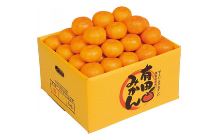 【赤秀ランク】完熟有田みかん 5kg※2026年12月上旬頃～12月下旬頃に順次発送 /  有田 ミカン 蜜柑 プレミアム 秀品 フルーツ 果物 柑橘 和歌山県 由良町【stmr004-ｐ-5】