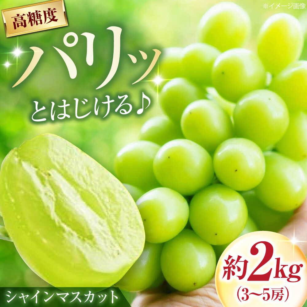 【先行予約】【ふるさと納税】井上農園のシャインマスカット 約2kg 3〜5房入 〈2026年9月〜発送〉 ／ フルーツ 果物 くだもの 食品 人気 おすすめ 送料無料 シャインマスカット マスカット ますかっと 葡萄 【株式会社内子フレッシュパークからり】[BKAD043]