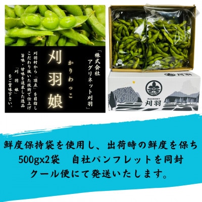 新潟県刈羽村　朝採直送枝豆　刈羽娘1kg(500g×2パック)【配送不可地域：離島・北海道・沖縄県】