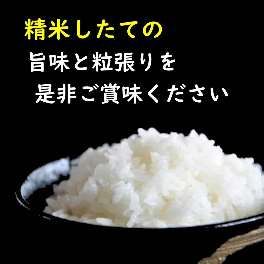 令和7年産　山形県産 雪若丸 20kg (5㎏×4袋)