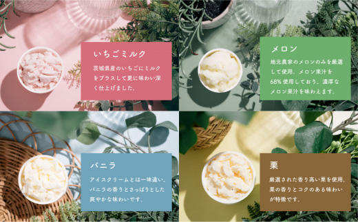 特製ジェラート 12個入り【アイス ジェラート アイスクリーム デザート 夏 冷たい スイーツ ご当地 おまかせ 人気スイーツ 秋 バニラ 和梨 いちごミルク スイーツ 焼き芋 さしま茶 スイーツ メ