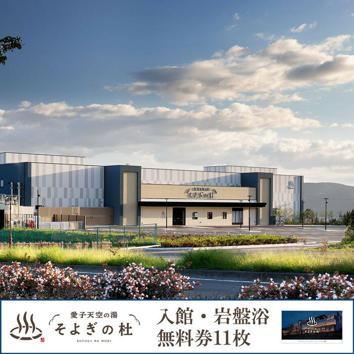 【ふるさと納税】愛子天空の湯 そよぎの杜 入館・岩盤浴無料券11枚　温泉 露天風呂 サウナ 日帰り 天然温泉 観光 旅行 旅 回数券 入浴券 仙台市　
