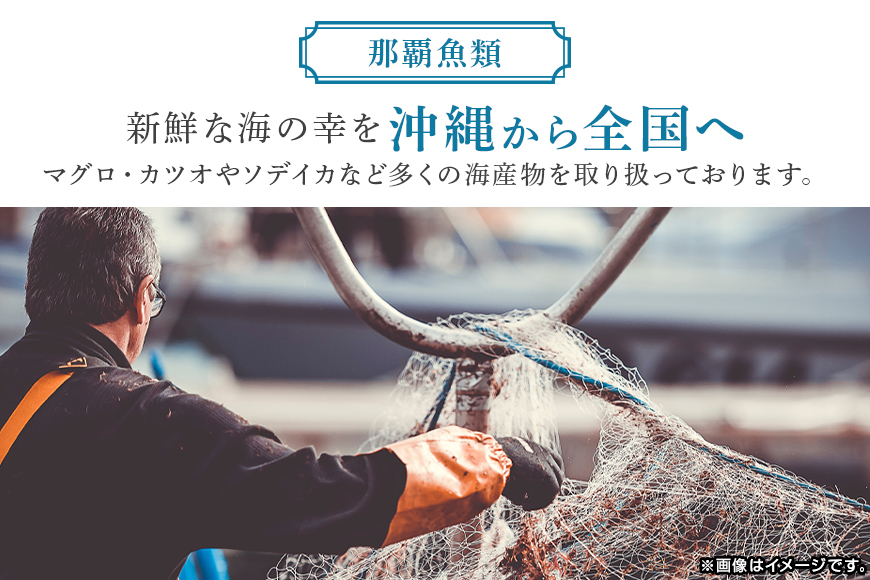 ネギトロ 業務用 1kg (200g×5P) 訳あり 訳あり 簡易包装 小分け マグロ まぐろ 鮪 まぐろたたき ねぎとろ 寿司 沖縄県産 キハダマグロ 1キロ 沖縄 産地直送 手巻き寿司 ねぎとろ丼