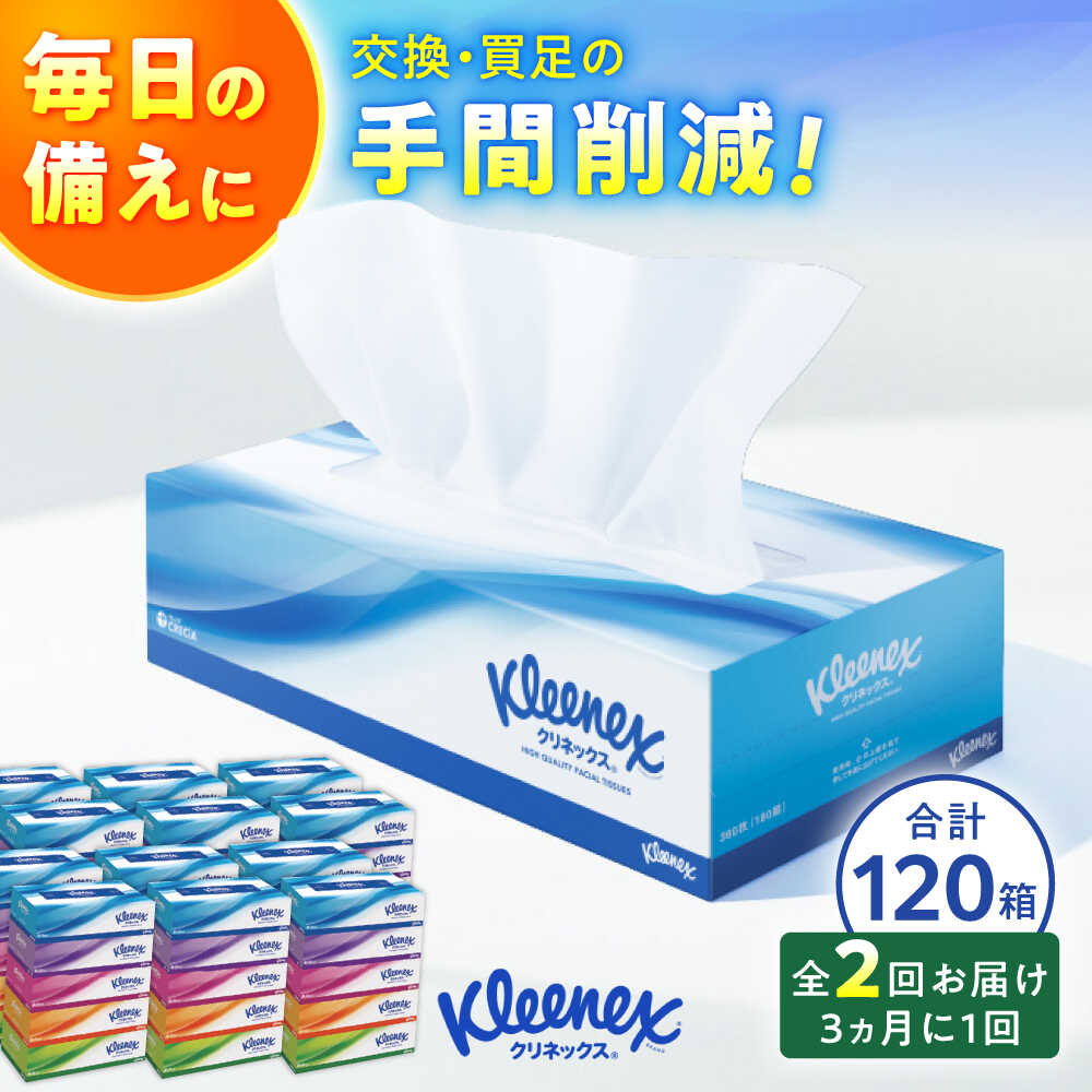 【ふるさと納税】【全2回定期便(3ヵ月に1回)】クリネックス ティシュー　60箱(5箱×12パック )【日本製紙クレシア株式会社】 開成町 ティッシュ ティッシュペーパー 日用品 国産 新生活 備蓄 防災 消耗品 生活用品 まとめ買い ボックスティッシュ 定期便[BDAM004]