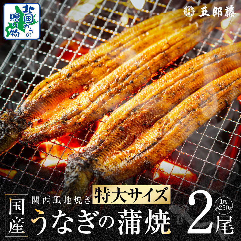 【ビッグサイズ】老舗五郎藤 国産 旨鰻 250g×2尾【関西風地焼き 特大 うなぎ ウナギ 蒲焼き 炭火 数量限定 有頭 北国からの贈り物 厳選】