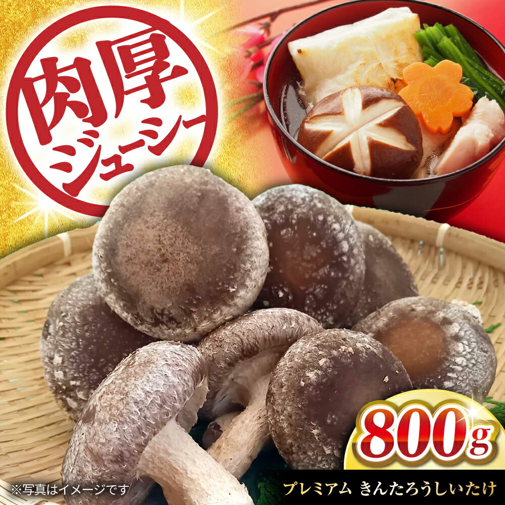 【ふるさと納税】肉厚！きんたろうしいたけプレミアム 滋賀県長浜市/合同会社 TUNAGU [AQBD001] しいたけ シイタケ 椎茸 国産 肉厚 ※着日指定送不可