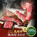 【ふるさと納税】くまもと黒毛和牛 黒樺牛 A4~A5等級 焼肉用カルビ 合計500g 250g×2パック 牛肉 牛 霜降り 赤身 お肉 焼き肉 BBQ 黒毛和牛 国産 九州産 熊本県産 冷凍 送料無料