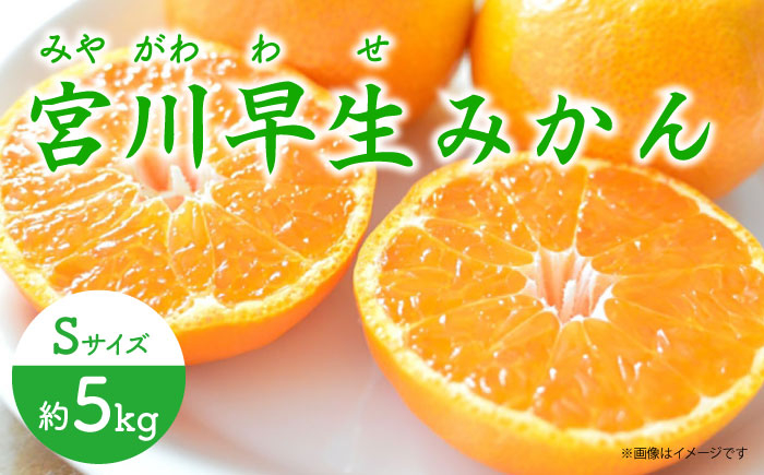 
            【先行予約】早生（宮川早生） みかん Sサイズ 約5kg ー2025年11月より発送ー 長与町/山口農園 [EBI009] みかん 柑橘 果物 くだもの フルーツ 季節限定 数量限定 温州みかん ミカン 5kg 先行予約 産地直送 長崎県産 長与町
          
