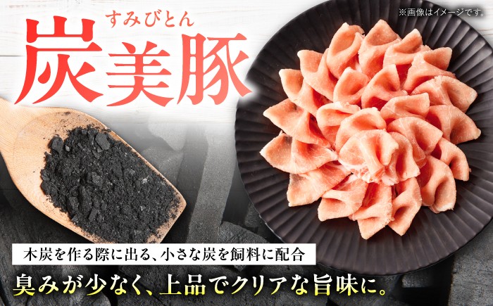 西海市 豚肉 スライス しゃぶしゃぶ
