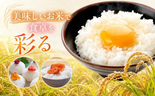 O18　奈良県産ミズホチカラ100％ ピュア米粉（製パン用） 3㎏（1㎏×3袋）|  ミズホチカラ  ピュア米粉 米粉 こめこ 製パン用 おやつ 蒸しパン   奈良県 大淀町