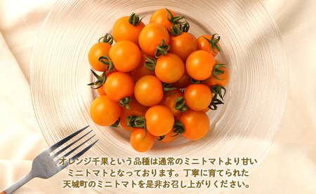 徳之島 天城町産 ミニトマト 200g×8パック 合計1.6kg オレンジ千果 トマト