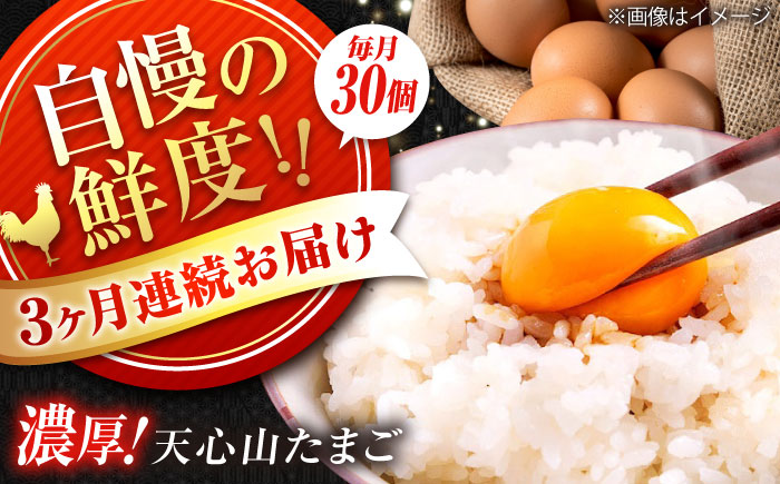 【全3回定期便】天心山 たまご 30個（10個入り×3パック） 卵 たまご 高級 食品 たまごかけご飯 卵かけご飯 卵焼き 生卵 濃厚 ケーキ お菓子 づくり ランキング 上位 人気 おすすめ 定期便　広島県福山市/天心山ファーム [BABW026]